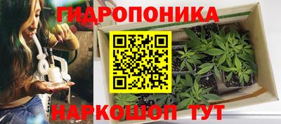 прущие крисы Тула